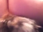 Fox tail - Screenshot 16 of 16 - Sexy