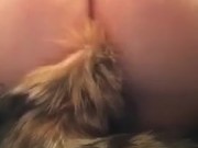 Fox tail - Screenshot 8 of 16 - Kinky