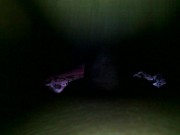 natural big hair and boobs indian girl first ever best amateur homemade des 7/16