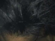 Hotel head good nut 13/16