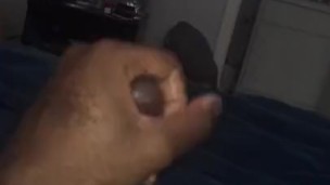 Black Nut