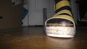 Shrunken Buildings vs My Sandals (Teaser)