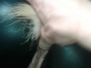 Kitten - Screenshot 1 of 16 - Latex
