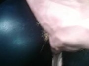 Kitten - Screenshot 12 of 16 - Latex