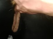 Kitten - Screenshot 16 of 16 - Latex