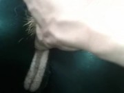 Kitten - Screenshot 3 of 16 - Latex