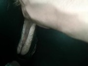Kitten - Screenshot 6 of 16 - Latex