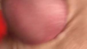 Morning cum