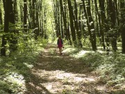 Milf of PornHub in mini dress without panties collects flowers. Spring. 1/16