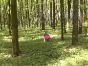 Milf of PornHub in mini dress without panties collects flowers. Spring. 12/16