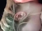 Deepthroating my best friends bbc 8/16