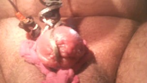 Painful electro torture my tiny penis head