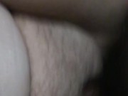 Fluffy and Bad Naughty Bobby have some playtime 11/16