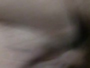 Fluffy and Bad Naughty Bobby have some playtime 12/16