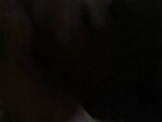 Fluffy and Bad Naughty Bobby have some playtime 4/16