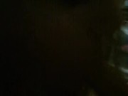 Fluffy and Bad Naughty Bobby have some playtime 8/16