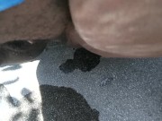 In the backyard - Screenshot 13 of 16 - Pee