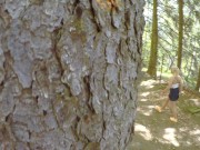 girl is Caught during fucking by a peeper in forest in all 3 holes 1/16