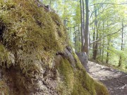 girl is Caught during fucking by a peeper in forest in all 3 holes 3/16