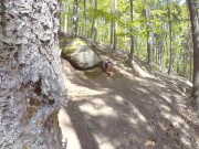 girl is Caught during fucking by a peeper in forest in all 3 holes 6/16