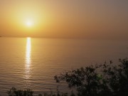 Sunset Ginger Blowjob | Redhead Girl Sucking Cock to Cum at Sunset Beach 2/16