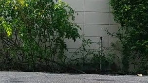 hotel nut outside