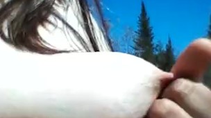 Tit rubbing