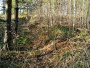 Outdoor forest Blowjob | Gagging on Cock, Facial Cumshot, we were Caught*o* 10/16