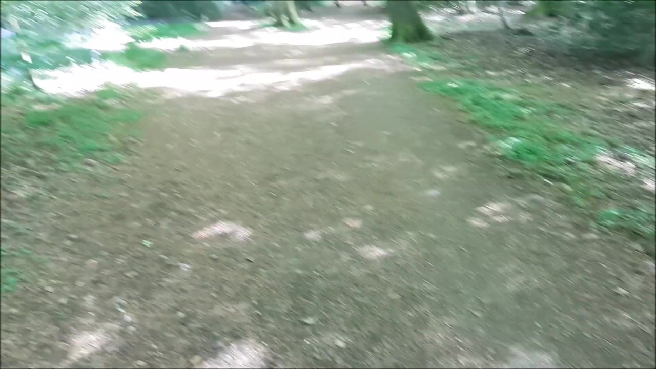 Public Naked Woodland Fuck & Swallow - 無料セックスビデオ - RedTube
