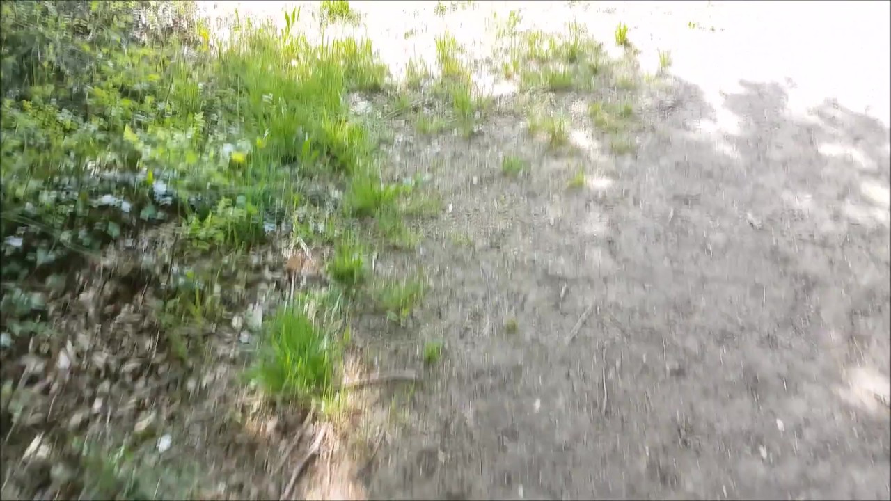Public Naked Woodland Fuck & Swallow - 無料セックスビデオ - RedTube