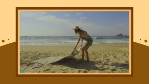 trailer: Alterinhos beach, review