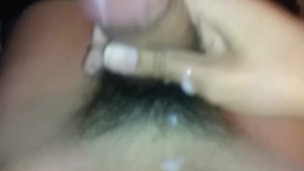 Solo male