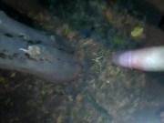 HOT CUM