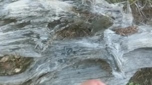 Mountain Cumshot