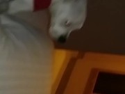 Hardcore homemade 16/16