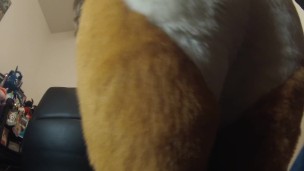 wagging my tail