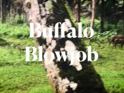 Interrupted by a Buffalo? Intense Deepthroat with Cum in Mouth - LeoLulu 1/16