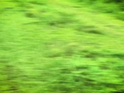 Interrupted by a Buffalo? Intense Deepthroat with Cum in Mouth - LeoLulu 9/16