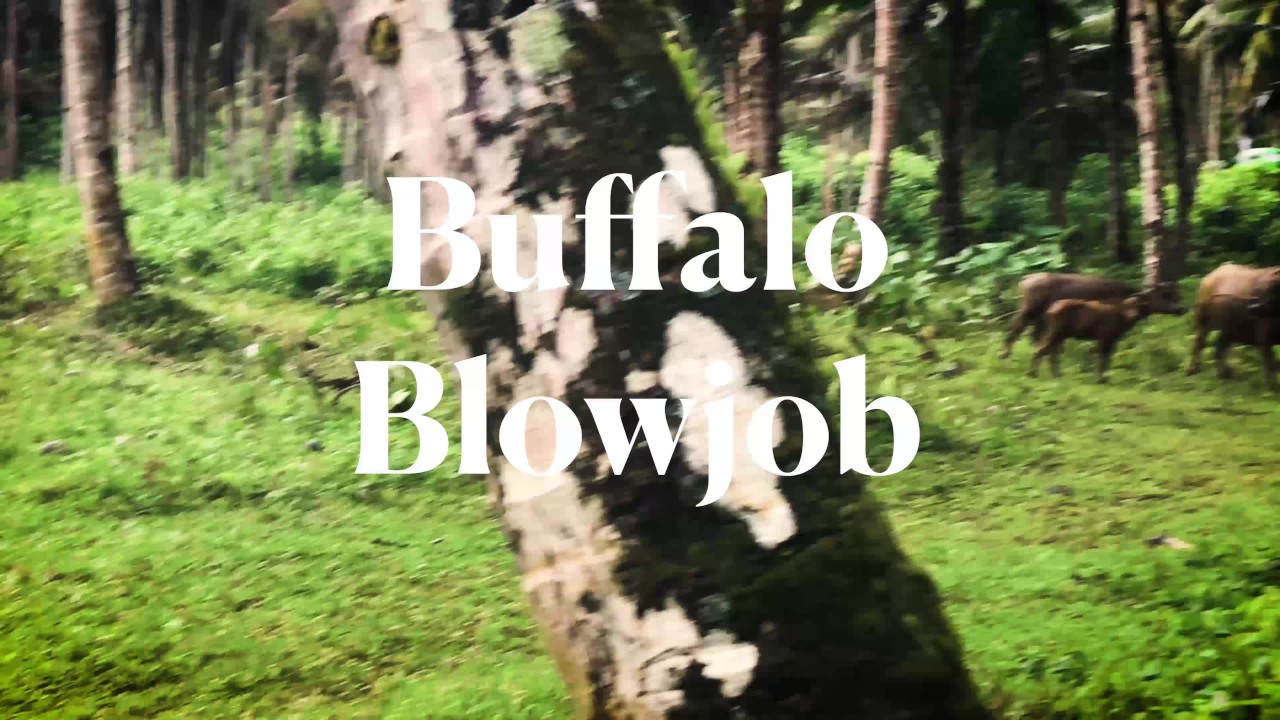 Interrupted by a Buffalo? Intense Deepthroat with Cum in Mouth - LeoLulu - Free Sex Video - RedTube