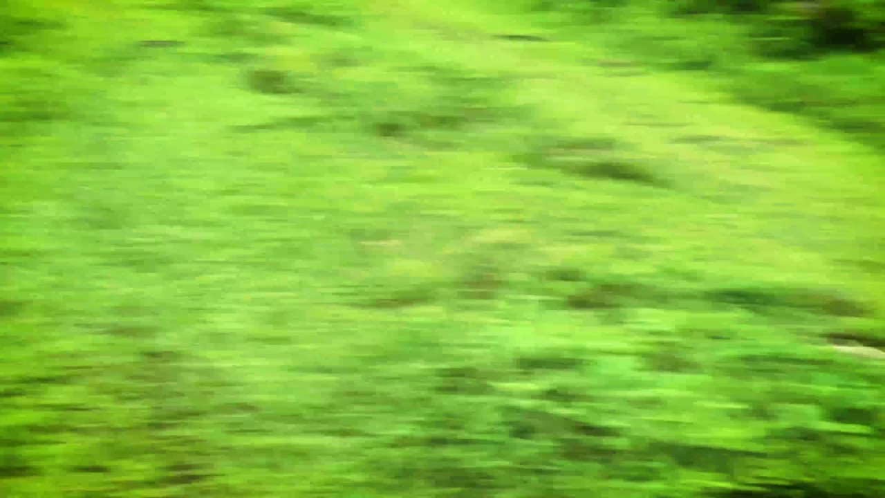 Interrupted by a Buffalo? Intense Deepthroat with Cum in Mouth - LeoLulu - Free Sex Video - RedTube