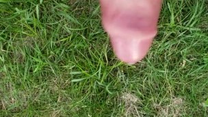 Public cum