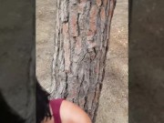 The voyeurs fucks a turist in the pines 15/16