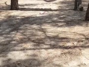 The voyeurs fucks a turist in the pines 2/16