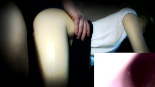 Anonymous doll doggystyle with picture-in-picture creampie.