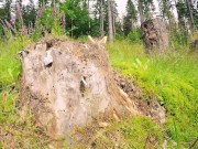 Random hiker catches masturbating girl in public facefuck and anal fuck her 1/16