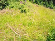 Random hiker catches masturbating girl in public facefuck and anal fuck her 6/16