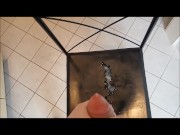 2-3 Weeks Cumpilation Solo
