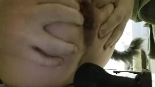 Daily anal 2