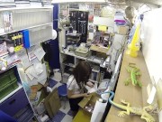 【無】アダルトショップの玩具 舞咲みくに Mikuni Maisaki 5/16