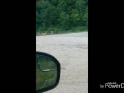 Being watched at the lake 1/16